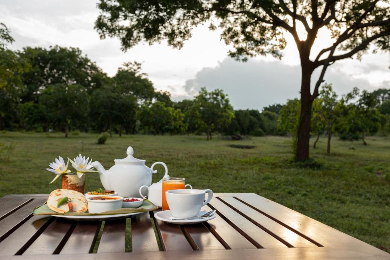 Koragaha Lodge - Yala Tissamaharama Ngoại thất bức ảnh