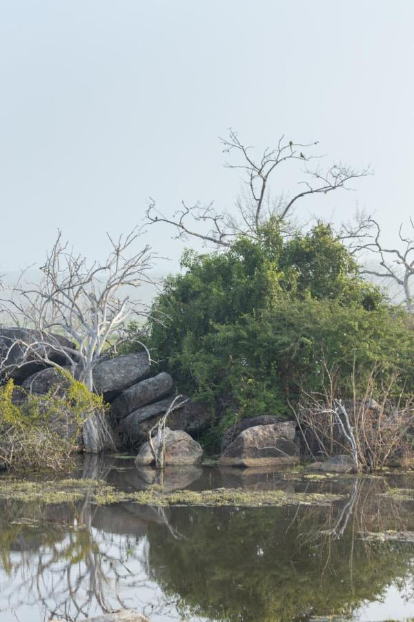 Koragaha Lodge - Yala Tissamaharama Ngoại thất bức ảnh