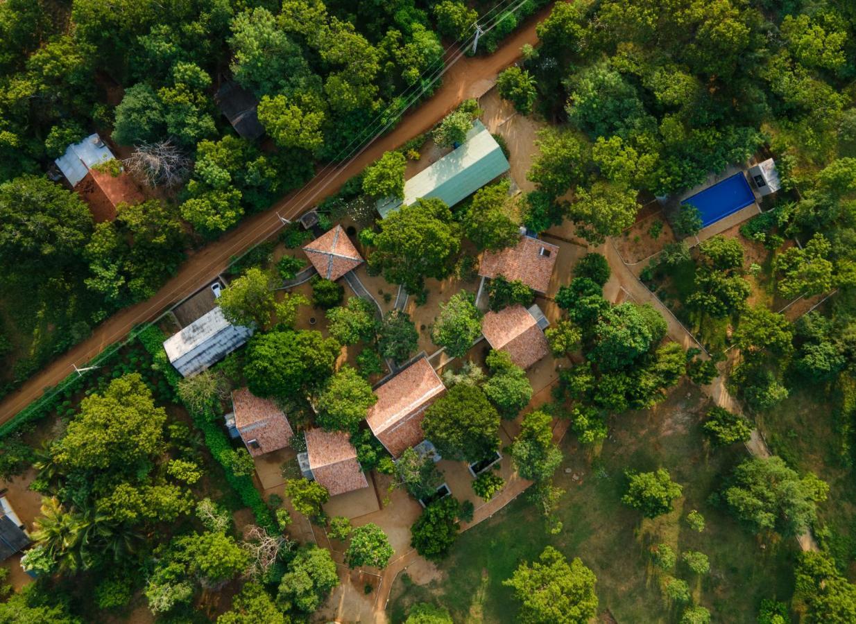 Koragaha Lodge - Yala Tissamaharama Ngoại thất bức ảnh