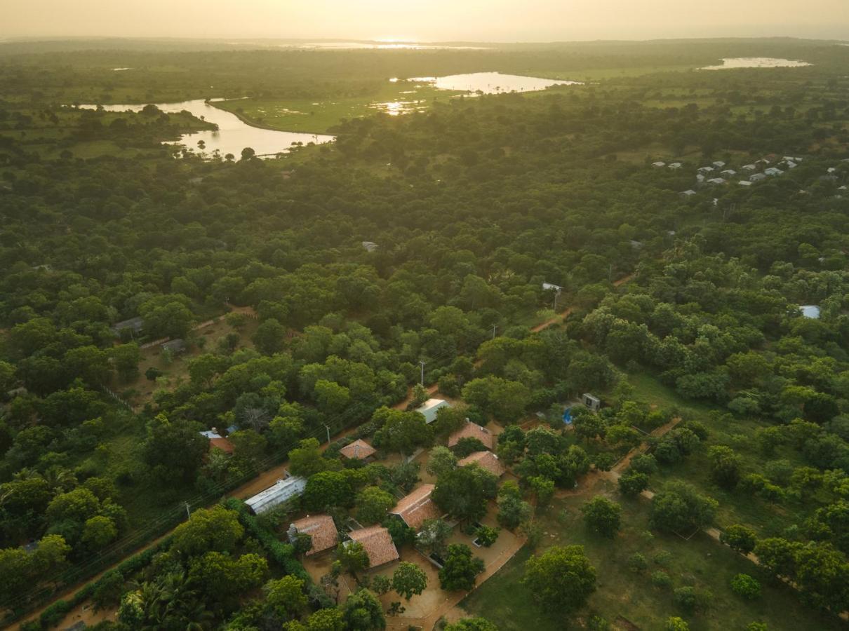 Koragaha Lodge - Yala Tissamaharama Ngoại thất bức ảnh