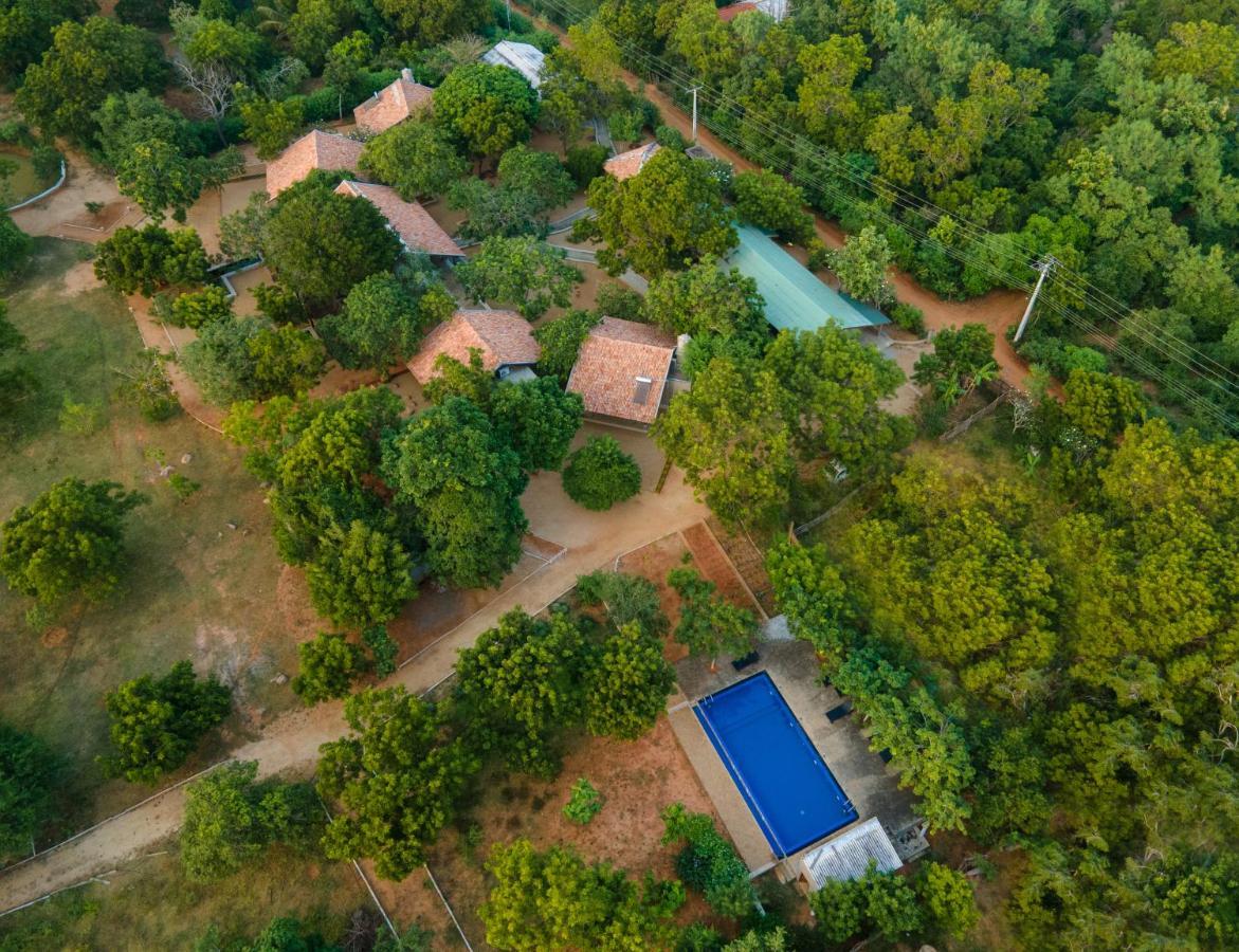 Koragaha Lodge - Yala Tissamaharama Ngoại thất bức ảnh